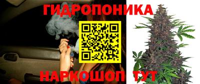 сатива Комсомольск-на-Амуре