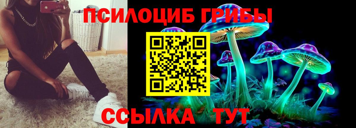 Псилоцибиновые грибы MAGIC MUSHROOMS Киров